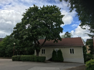 Skaraborgsvägen